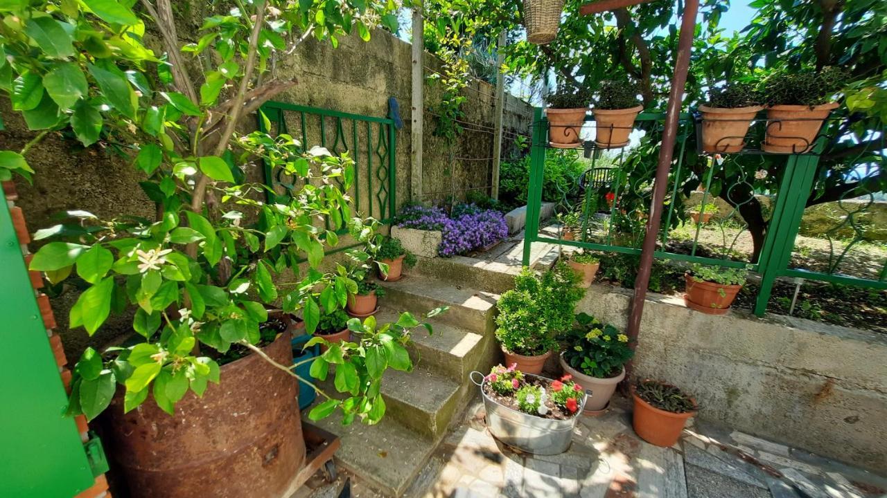 Apartma Bajc Sečovlje Exterior foto